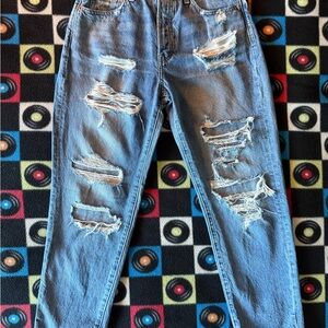 Lucky Brand Drew High Rise Taper Mom Jeans